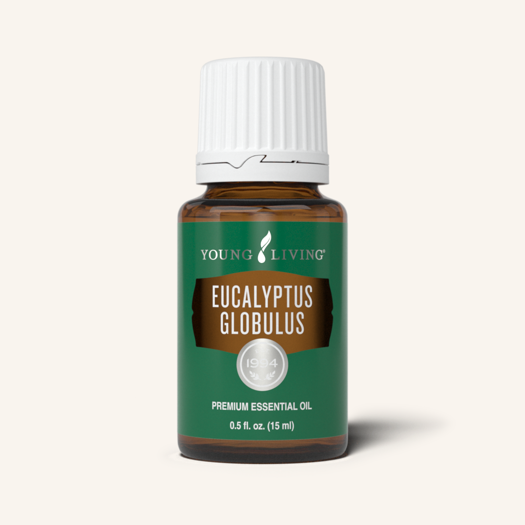 Rutulinis eukaliptas (Eucalyptus Globulus) Young Living , 15 ml